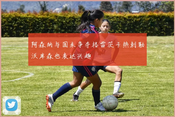 阿森纳与国米争夺格雷茨卡热刺勒沃库森也表达兴趣